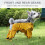 Waterproof Dog Snowsuit with Built-in Boots 3