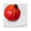 6Pcs Dinner Dish White for Parties and Special Occasions 3