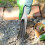 3Pièces Outils De Jardinage Acier Inoxydable Argentés Polyvalents 11