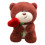 Κούκλα εξομολόγησης Rose Bear για την ημέρα του Αγίου Βαλεντίνου για παιδιά και 2