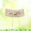 Dames Beige Kanten Tailleceintuur Corsetriem Jurken 9
