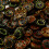 Coconut Shell Buttons Light Brown Brown 300 pcs 3