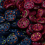 Sewing Buttons Black 5/8 Inch 50 Pieces 5