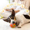 Vibrating Dog Ball Interactive Bouncing Toy 1 Pack 3