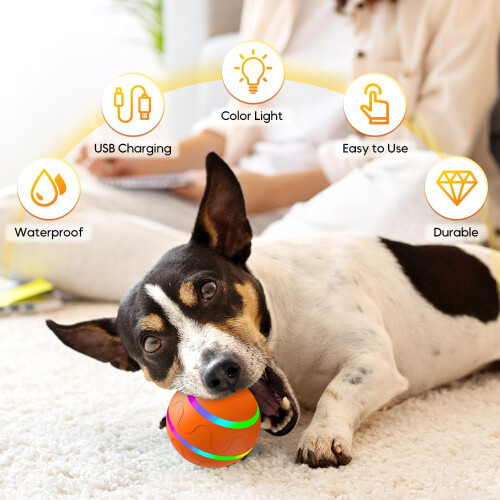 Vibrating Dog Ball Interactive Bouncing Toy 1 Pack 2