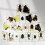Resin-Encased Insect Specimen for Education 2