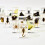Resin-Encased Insect Specimen for Education 3