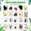 Resin-Encased Insect Specimen for Education 4