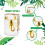 Resin-Encased Insect Specimen for Education 5