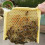 Easy Management Beehive Tools Queen Bee Mating Nucs Durable Queen Bee Boxes Expandable Beekeeping Systems Selective Breeding Supplies Compact 6