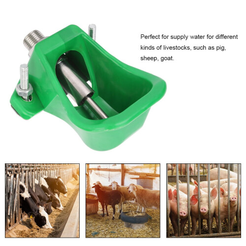 Pig Drinking Bowl, Easy To Operate Performance For Home 1