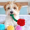 Rose-Shaped Squeaky Crinkle Dog Toy 1 Pack 6