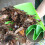 Plastic Leaf Grabbers, Adjustable Handles for Personalized Fit and Enhanced Comfort During Yard Cleanup 4