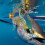 Δολώματα Γλυκού Νερού Πλήρης Κολύμβηση Layer Tilted Perch και Mandarin Fish Bai 5