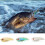 Δολώματα Γλυκού Νερού Πλήρης Κολύμβηση Layer Tilted Perch και Mandarin Fish Bai 6