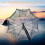 Foldable Green 8-Hole Crab Shrimp Fish Trap Net 61x21cm 5