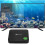 Άριστη μετάδοση ροής: Έξυπνο Android TV Box, αναπαραγωγή βίντεο 4K, επιτάχυνση υλικού 5