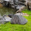 Artificial Rock Lightweight PU Natural Texture for Decorating Rivers Squares gray 5