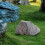 Artificial Rock Lightweight PU Natural Texture for Decorating Rivers Squares gray 7