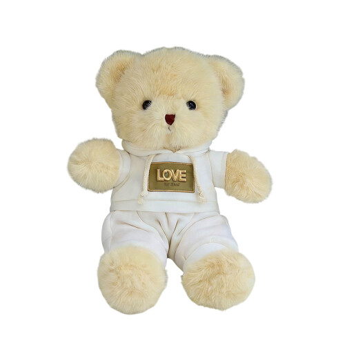 Brown Teddy Bear Plush Toy 12 inches 1