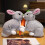Lapin en peluche gris de 20 cm, lapin en polyester doux 4
