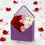 Valentine Envelope Box Gift Packaging 12 pcs 3