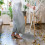 Metal Broom Handle Replacement with Comfortable Grip for Versatile Floor Cleaning 7