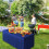 Plastic Rectangle Table Cover 120x40x75cm 4