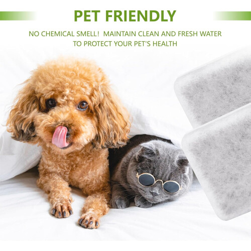 6 PCS Charcoal Replacement Filters Compatible with Petmate Replendish Mason Gravity Waterers 2