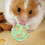 Παιχνίδια μάσημα Loofah Bunny για χάμστερ, γάτες και σκύλους – Παιχνίδια εμπλουτισμού 5