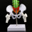 45cm Removable Human Spine Model Spinal Column Vertebral Lumbar Curve Anatomical 3
