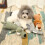 Plush Dog Chew Toy Squeaky Indestructible Medium Large 4