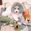 Plush Dog Chew Toy Squeaky Indestructible Medium Large 7