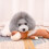 Plush Dog Chew Toy Squeaky Indestructible Medium Large 8