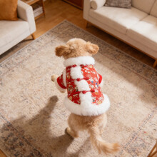 Chinese New Year Pet Tang Suit Vest - Festive Golden Floral Warm Dog & Cat Outfit for Lunar New Year Celebration and Family Photos
