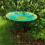 Outdoor Bird Feeder and Bath Combo Open Platform 1 pc 4