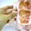 Human Anatomy Model Toy Organ Set 5