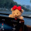 Adornos para coche P Bear, salpicadero, interior del coche, Sn Dections J7I2 6