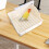 Automatic Parakeet Bird Bath with Pump Large Indoor Fountain 7