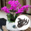 200Pcs Flower-Shaped Plant Clips, Support Clips, Brown/Green 9