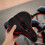 Mountain Bike Saddle Taillight Black 3