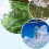 Διακοσμητικό Κουδούνι Ρητίνης Blue Bird Wind Chime 1 Τεμάχιο 6