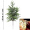 PreLit Pine Branches for Vase 5 Pcs 4
