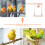 Parrot Cage Swing Stand Khaki 20 x 16 cm 8
