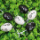 Easter Eggs Assorted Colors 6 Pcs 8