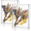 2 Pcs Acrylic Shadow Boxes Display Cases, DIY Frame Clear Display Cases Wedding Memory Dried Flower Container (5X7inch) 4