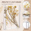 2 Pcs Acrylic Shadow Boxes Display Cases, DIY Frame Clear Display Cases Wedding Memory Dried Flower Container (5X7inch) 6