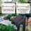 Solar Automatic Irrigation Timer Drip Irrigation Water Pump Control Watering System for Garden Lawn Pot 2000mAh 6