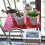 Garden  Automatic Watering Device Solar Charging Potted Plant Drip Irrigation Pump System Timer 2