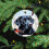Black Lab Christmas Ornament Red Bird Design 3 Inch Flat 5